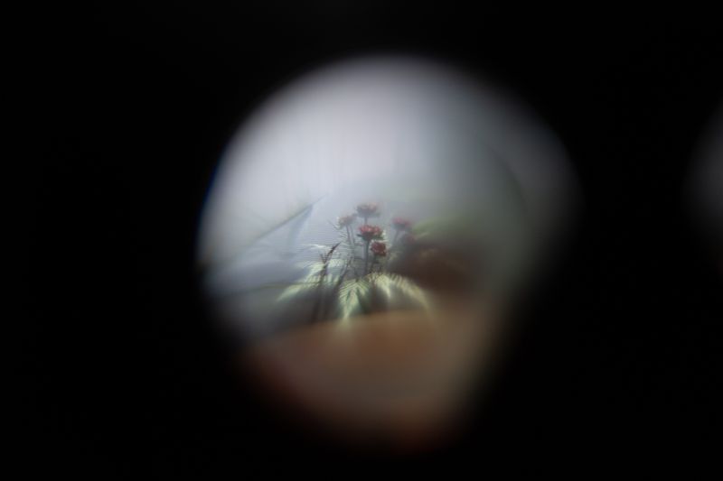 © Paola Chapdelaine - A scene from their VR world, photographed through a headset.