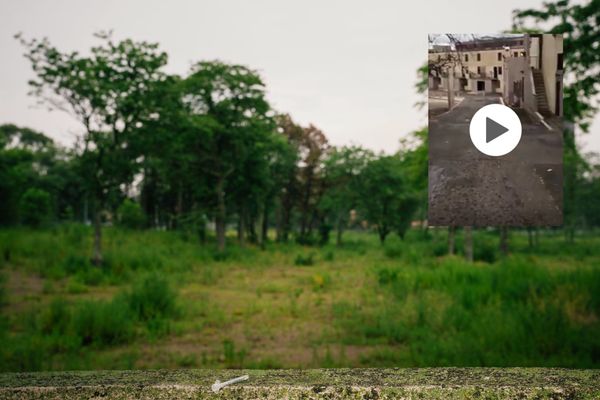 © Paola Chapdelaine - Image from the Tough Love photography project