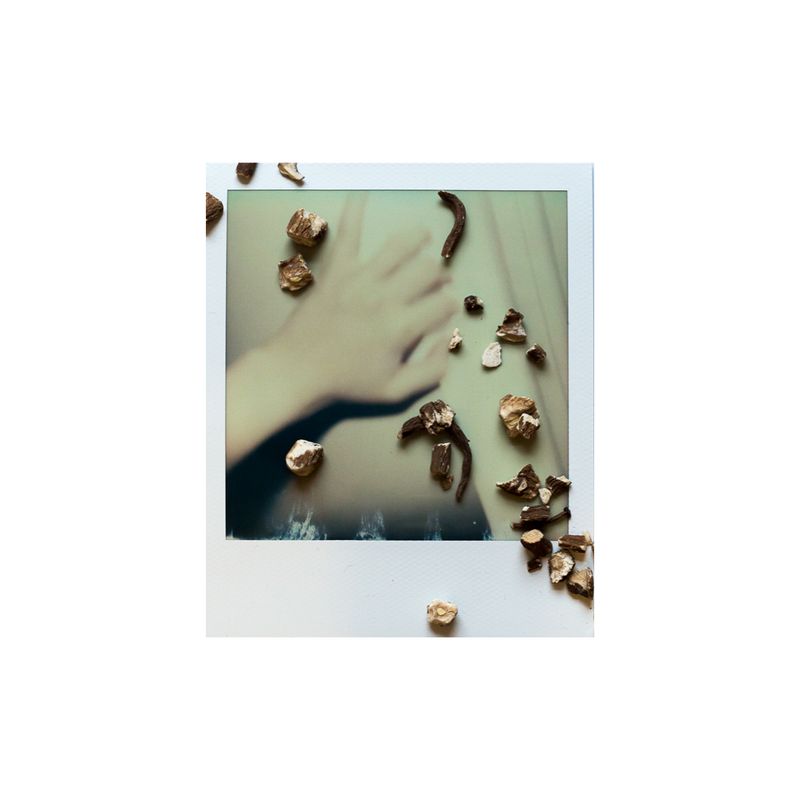© Sophie Green - Dandelion root - Eases joint pain.