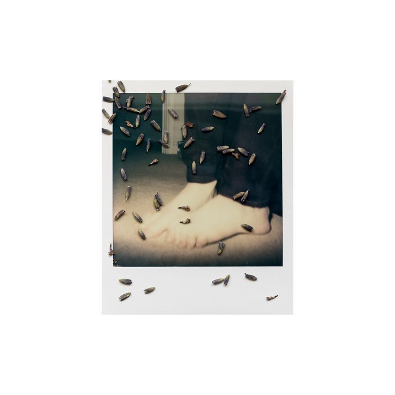 © Sophie Green - Lavender - Relieves stress and anxiety.