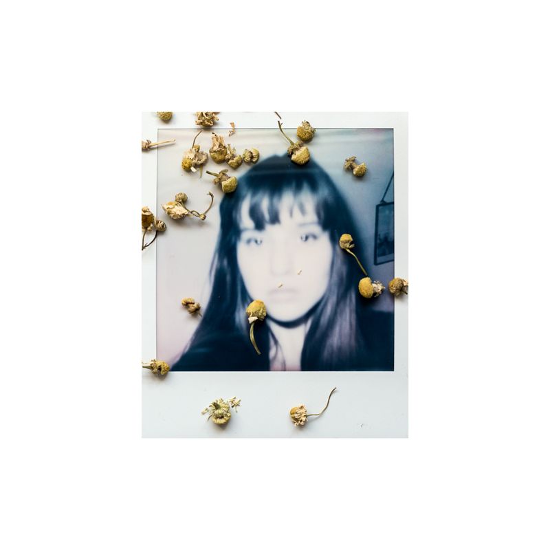 © Sophie Green - Chamomile - Can ease headaches and promotes relaxation.