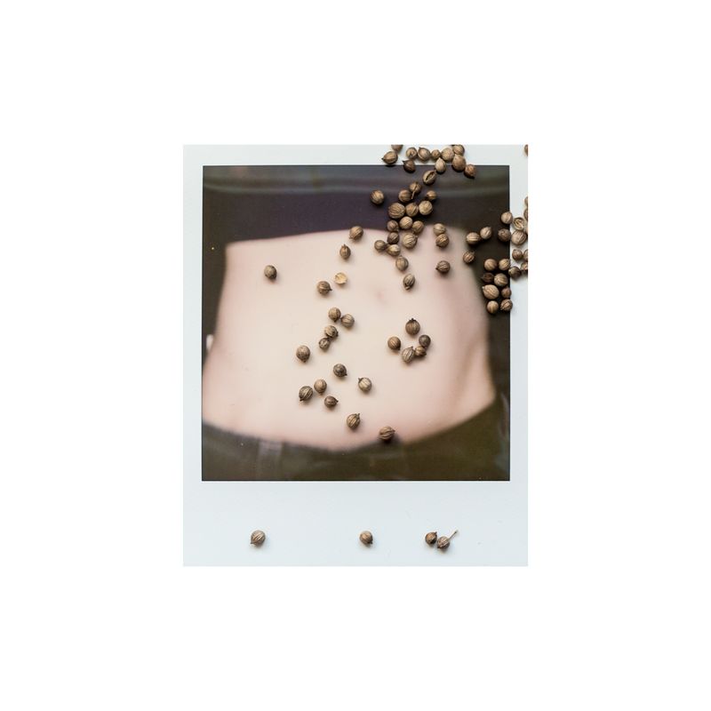 © Sophie Green - Coriander seeds - Good for the digestive system.