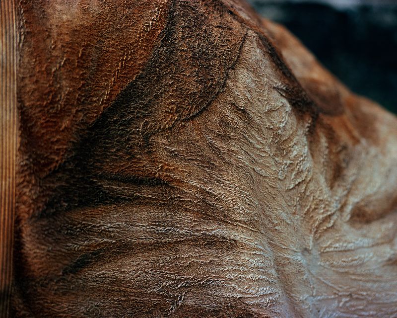 © Abhishek K - Image from the DAPOLI photography project