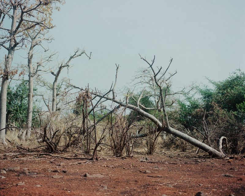 © Abhishek K - Image from the DAPOLI photography project