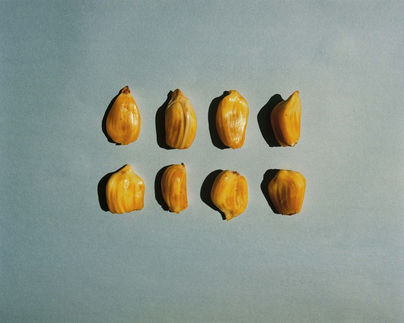 © Abhishek - Image from the Dapoli, lost and found. photography project