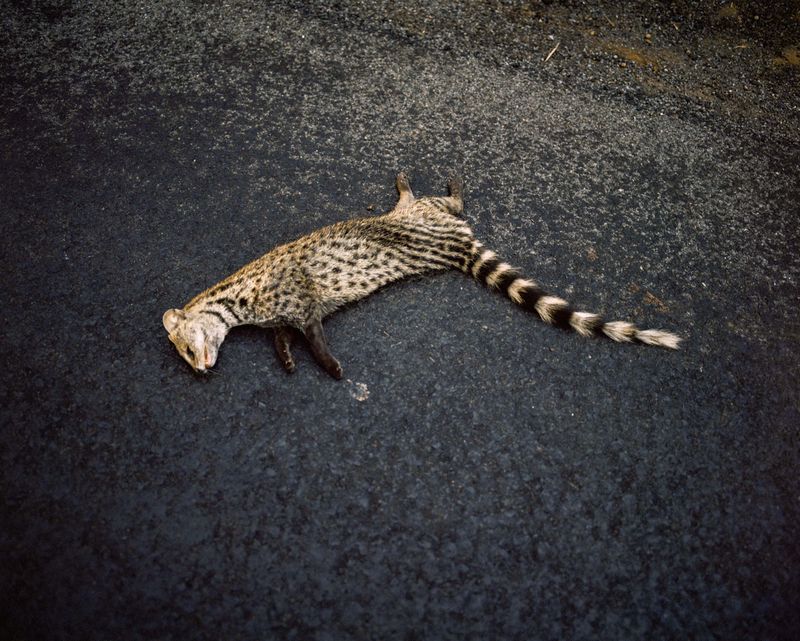 © Abhishek - Image from the Dapoli, lost and found. photography project