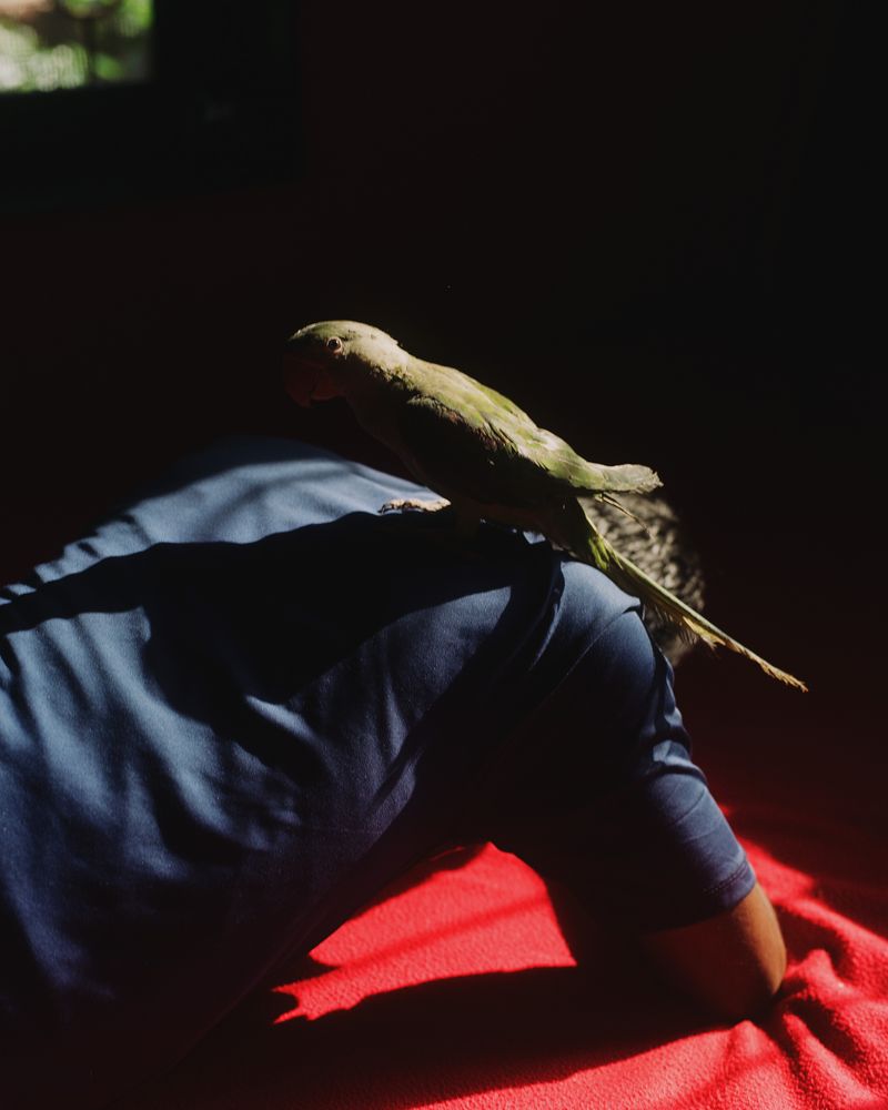 © Abhishek - Rakesh and his bird. Rakesh with his favourite bird during a lunch break. Dapoli, Maharashtra