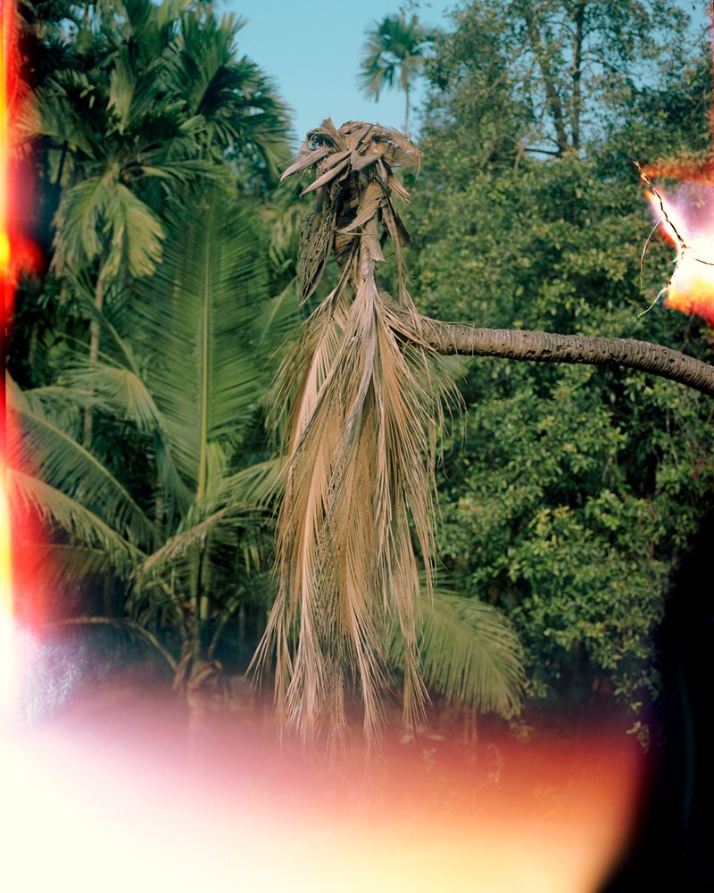 © Abhishek - Untitled. A lost film roll of mine, found on the street, run over by a car.