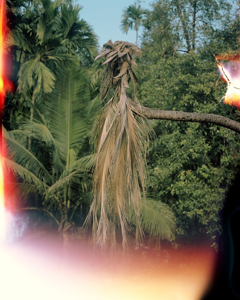 © Abhishek - Untitled. A lost film roll of mine, found on the street, run over by a car.