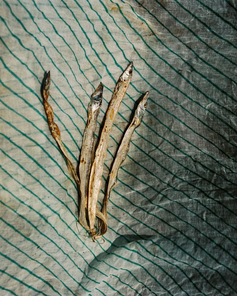 © Abhishek - Image from the DAPOLI photography project