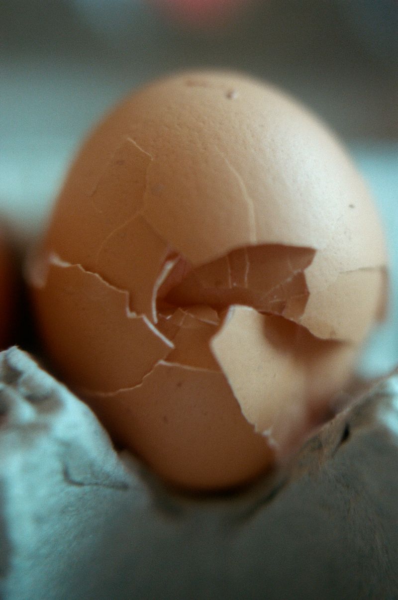 © Dylan Anderson - Yolk