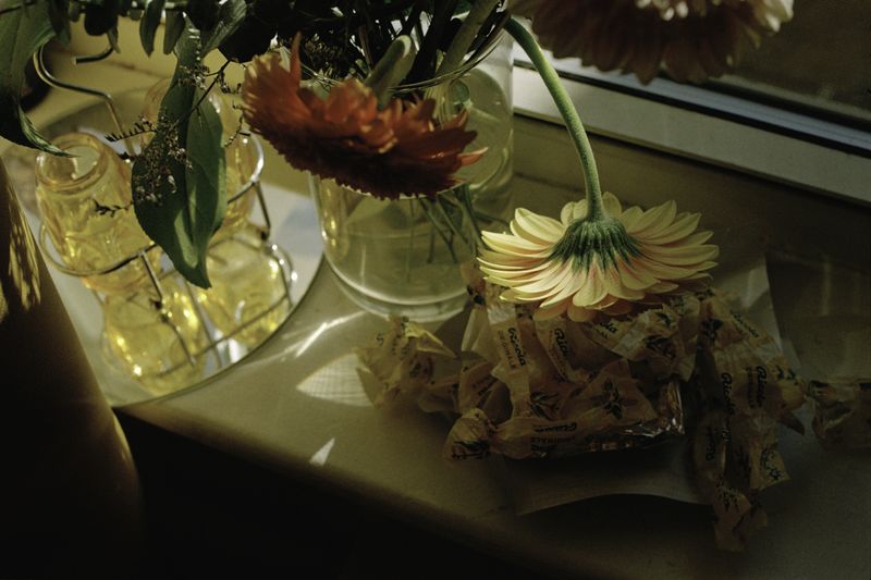 © Dylan Anderson - Image from the Warm Vicinity photography project