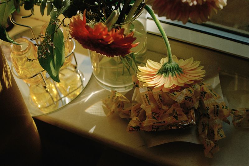 © Dylan Anderson - Image from the Warm Vicinity photography project