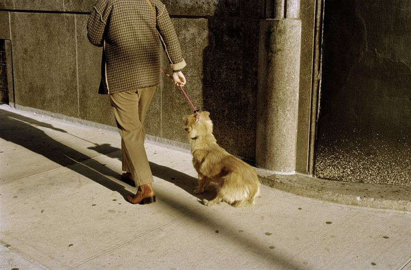 © Dylan Anderson - Image from the Warm Vicinity photography project