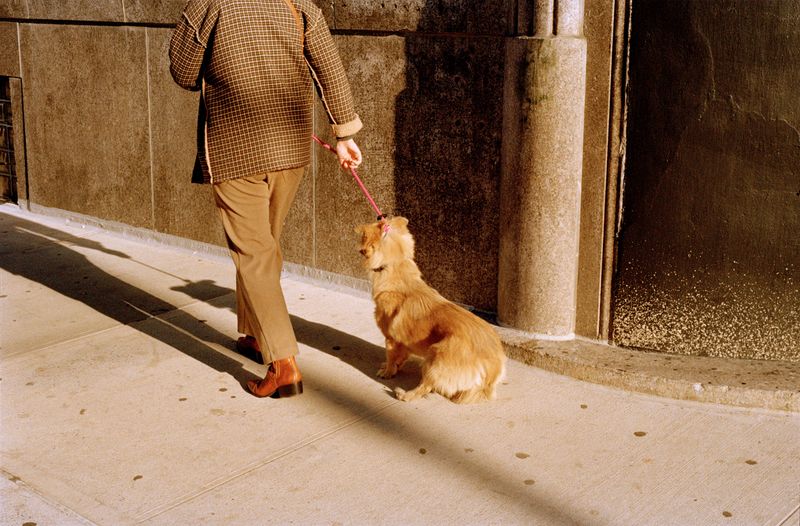 © Dylan Anderson - Image from the Warm Vicinity photography project