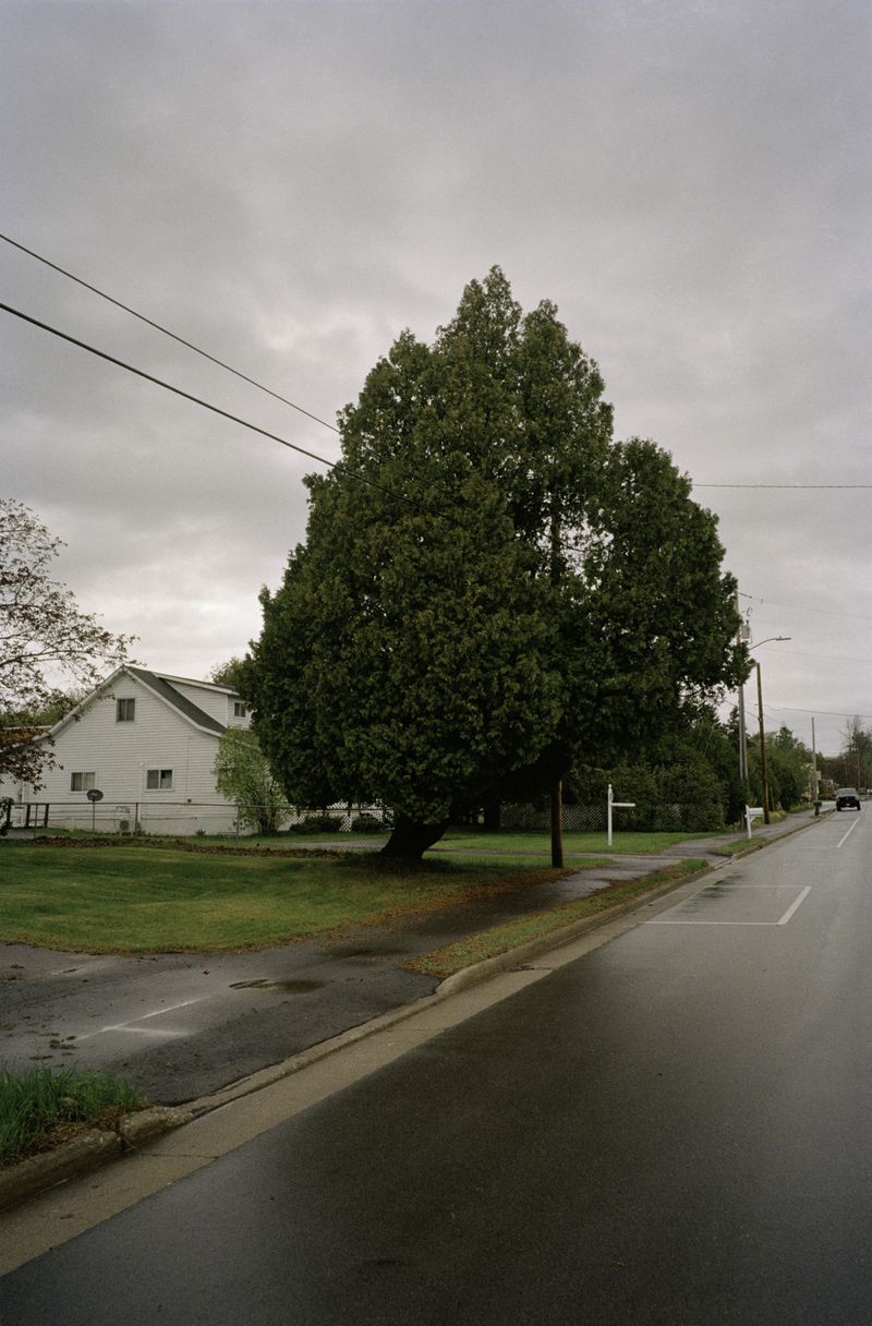 © Dylan Anderson - Image from the Warm Vicinity photography project