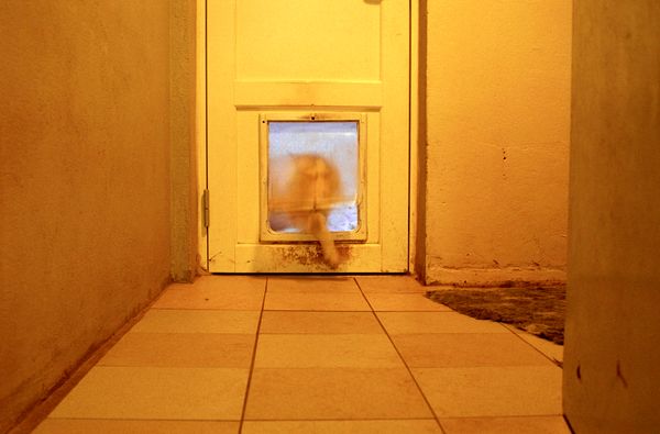 © Dylan Anderson - Carousel, 2025