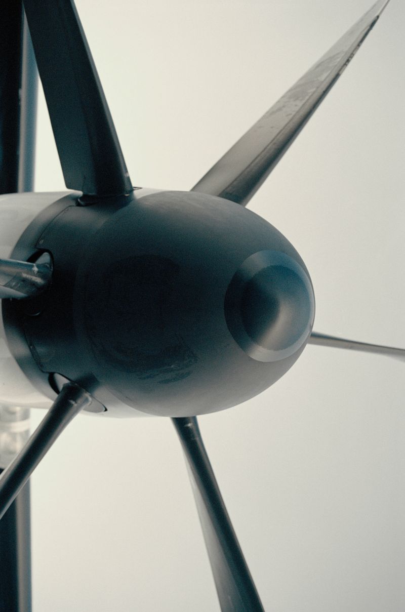 © Dylan Anderson - Snout, 2025