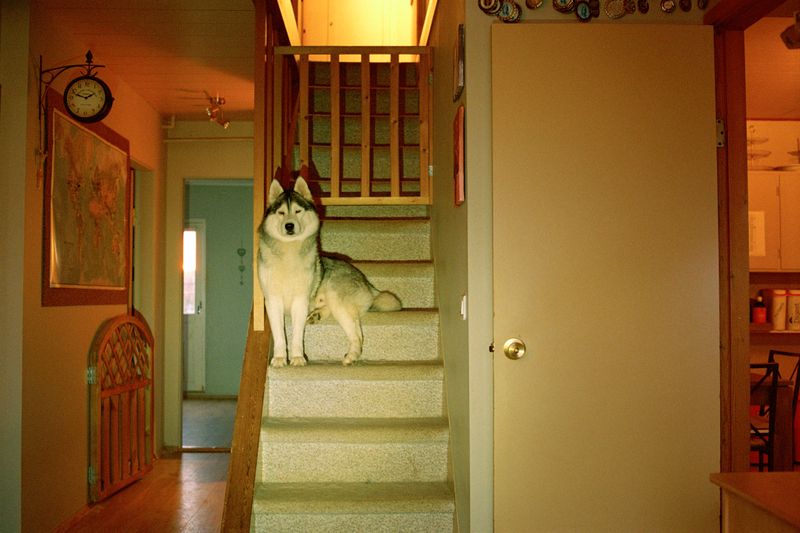 © Dylan Anderson - Guardian, 2025