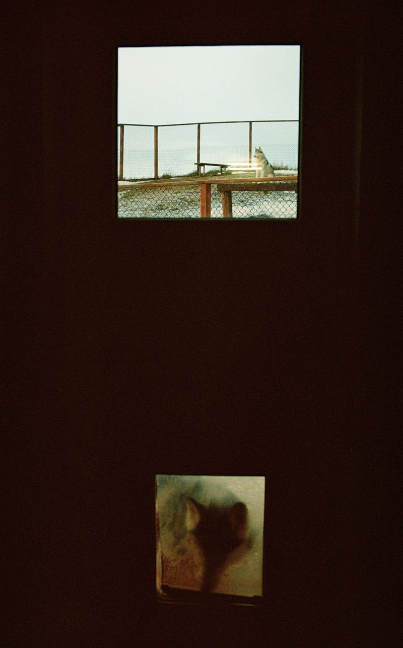 © Dylan Anderson - Image from the Ways to say Snow photography project