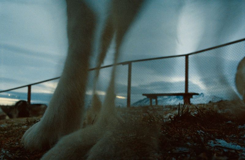 © Dylan Anderson - Image from the Ways to say Snow photography project