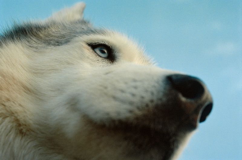 © Dylan Anderson - Image from the Ways to say Snow photography project