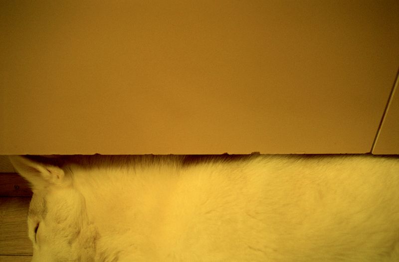 © Dylan Anderson - Image from the Ways to say Snow photography project