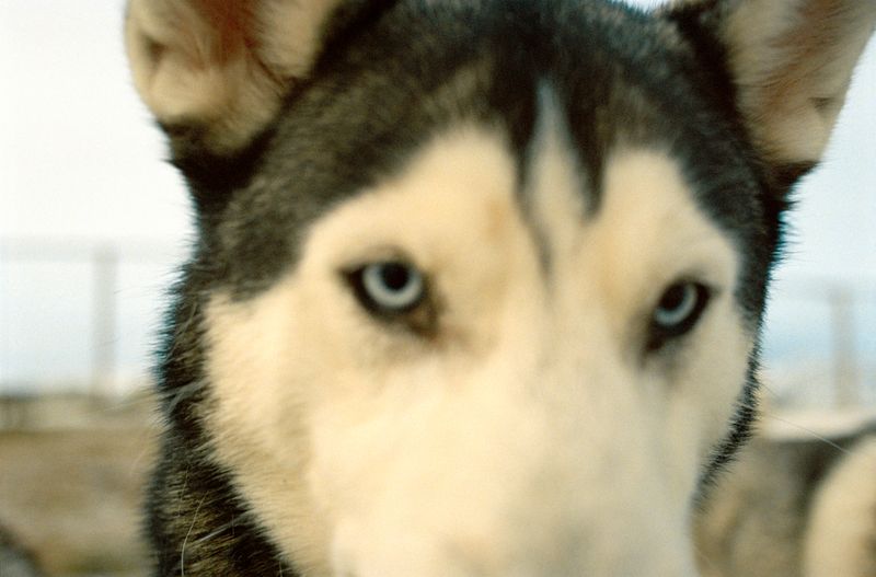 © Dylan Anderson - Image from the Ways to say Snow photography project