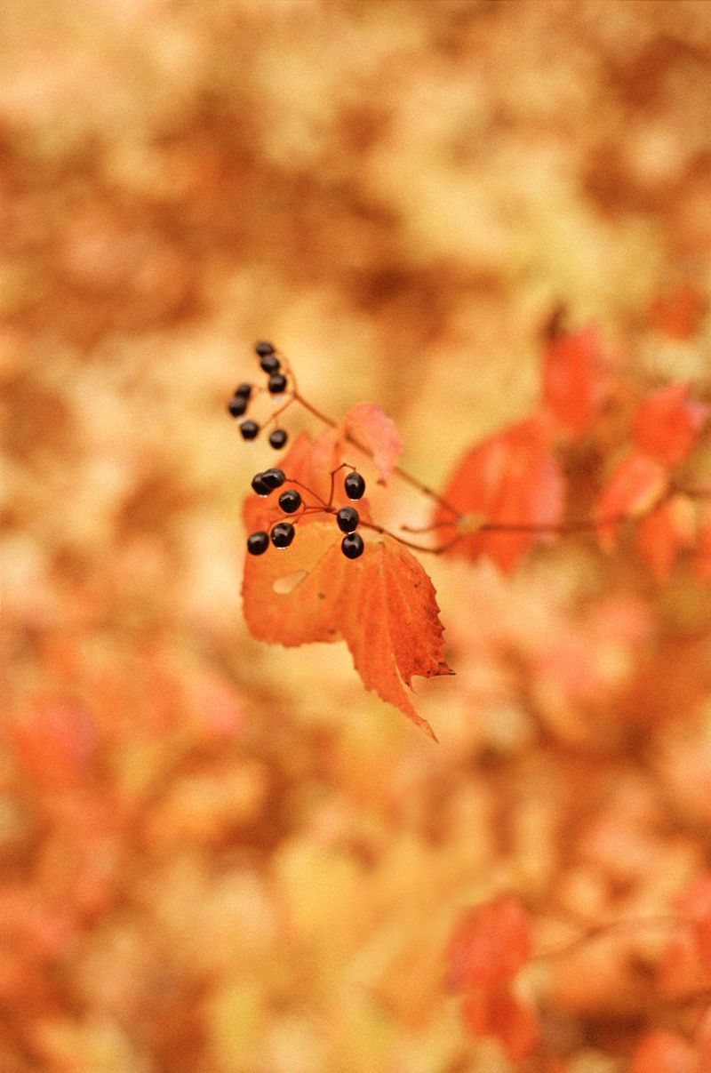 © Dylan Anderson - Image from the Warm Vicinity photography project