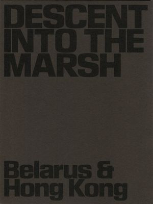 DESCENT INTO THE MARSH by Lesia Pcholka