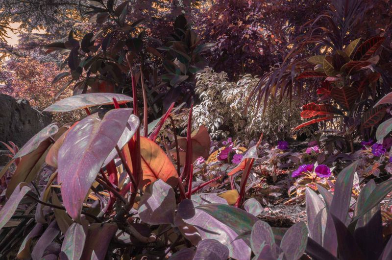 © Claudia Fuggetti - Hot Zone © Claudia Fuggetti, 2021.