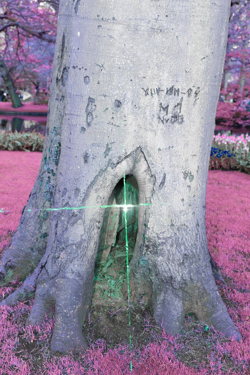 © Claudia Fuggetti - Image from the Metamorphosis photography project