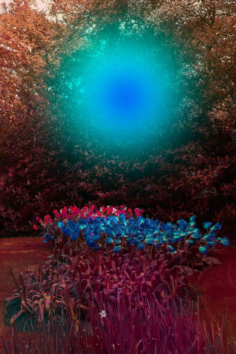 © Claudia Fuggetti - Image from the Metamorphosis photography project