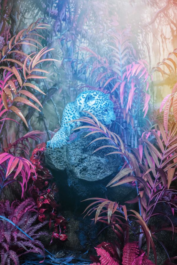 © Claudia Fuggetti - Image from the Metamorphosis photography project