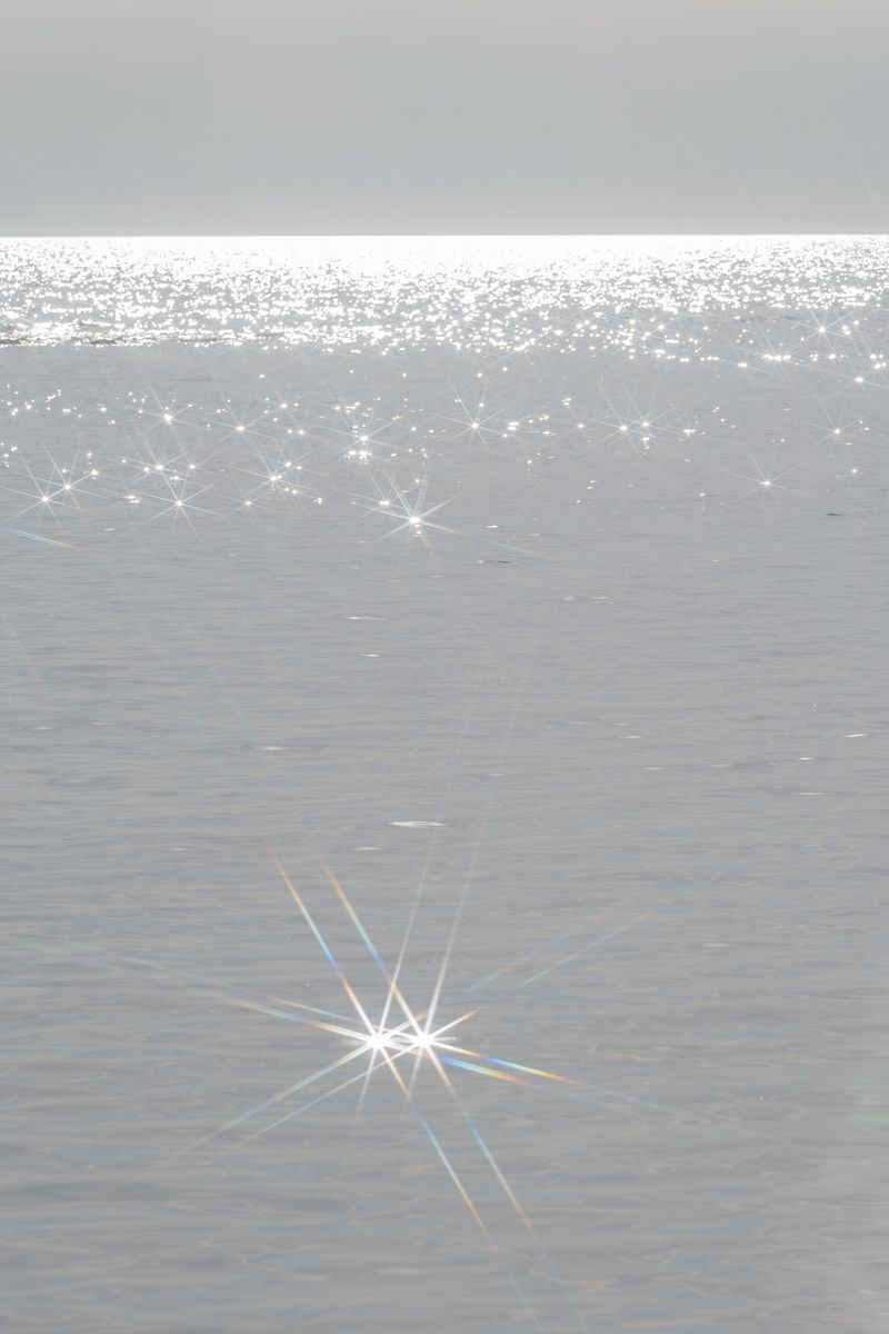 © Claudia Fuggetti - Image from the Metamorphosis photography project