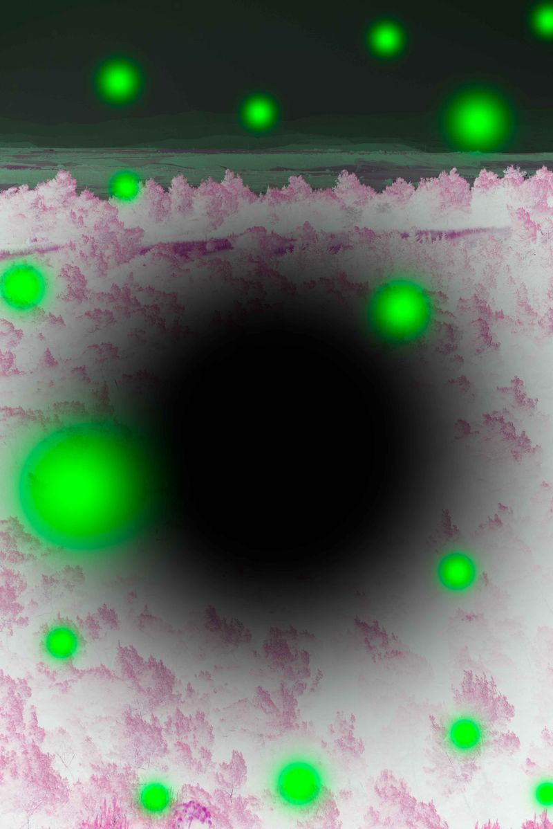 © Claudia Fuggetti - Image from the Metamorphosis photography project