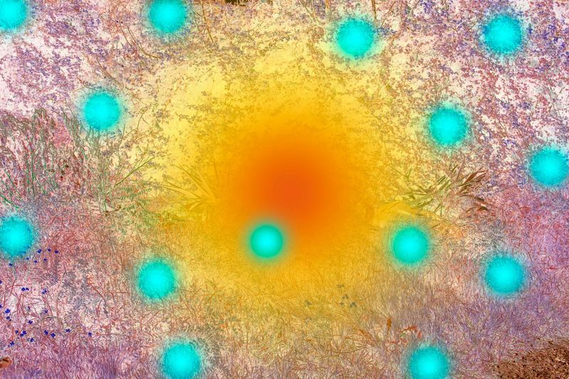 © Claudia Fuggetti - Image from the Metamorphosis photography project