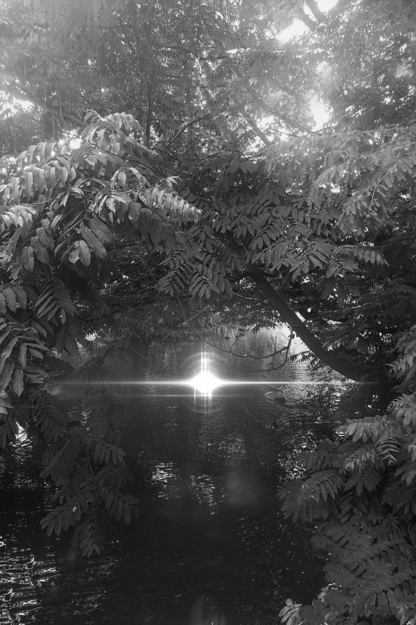 © Claudia Fuggetti - Hot Zone © Claudia Fuggetti, 2021.