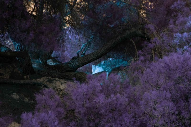 © Claudia Fuggetti - Hot Zone © Claudia Fuggetti, 2021.