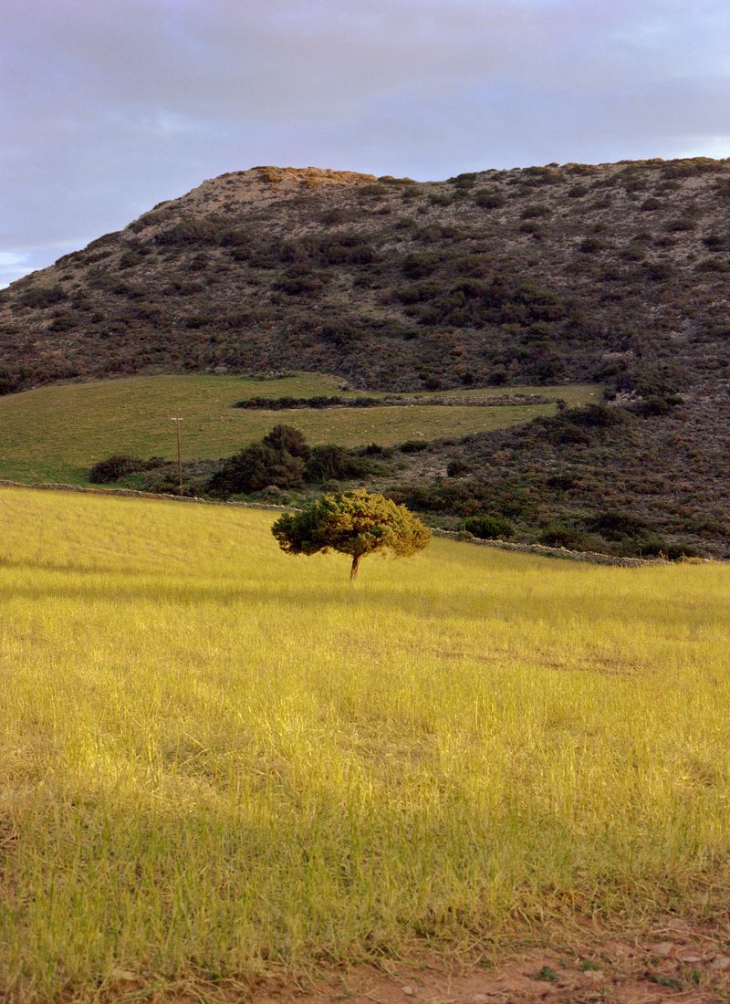 © Karla Hiraldo Voleau - 2019, Paros.