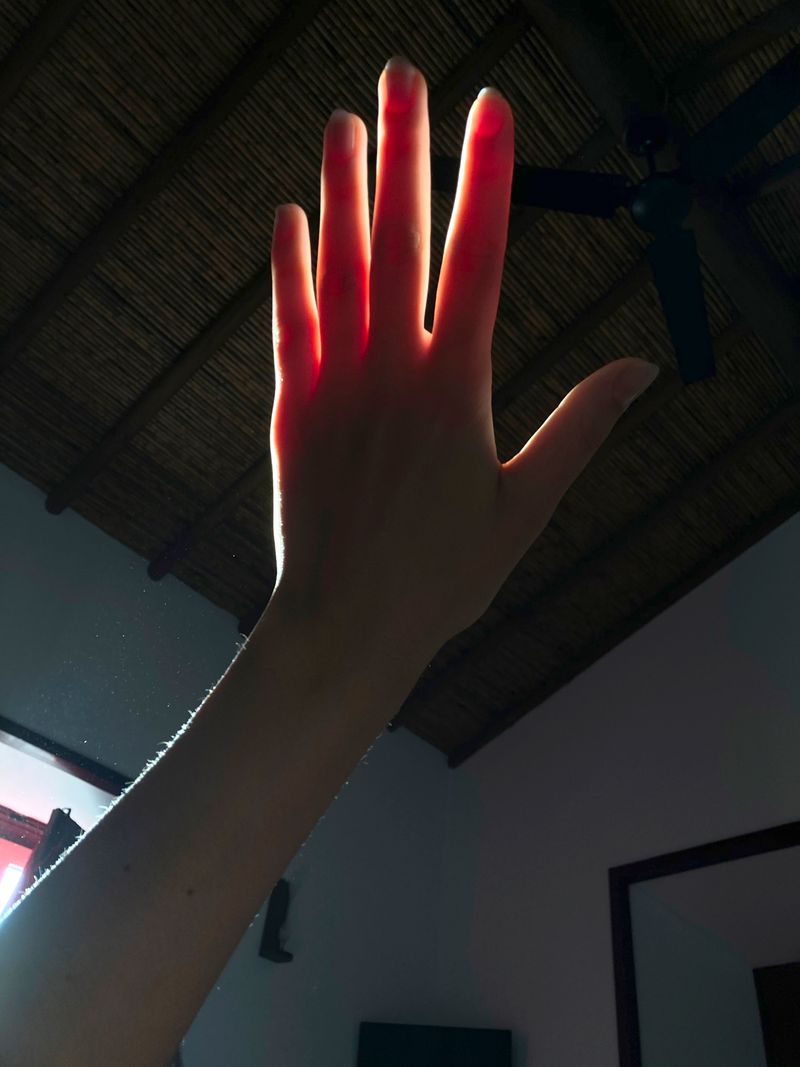 © Karla Hiraldo Voleau - Transparency was not a strong suit in X's behavior.