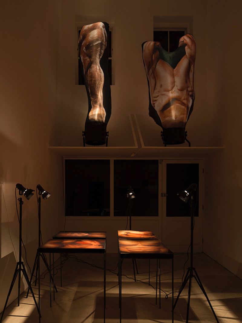 © Alix Marie - SHREDDED, Install Shot, 2019