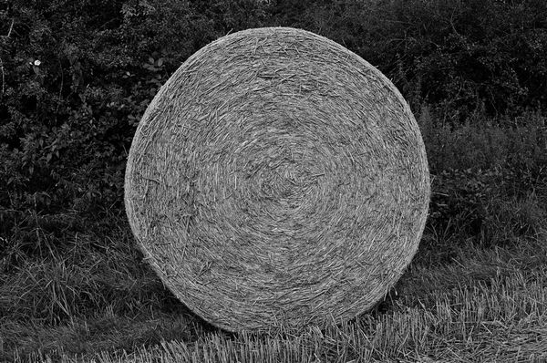 © Sarah Walzer - Image from the Weites Feld (Wide Field) photography project
