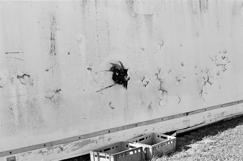 © Sarah Walzer - Image from the Weites Feld (Wide Field) photography project