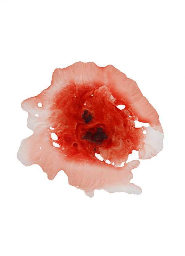 © Madelaine Ekserciyan - Pero degree