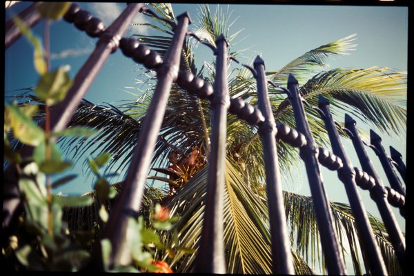 © Gaby - Image from the Mala Yerba photography project