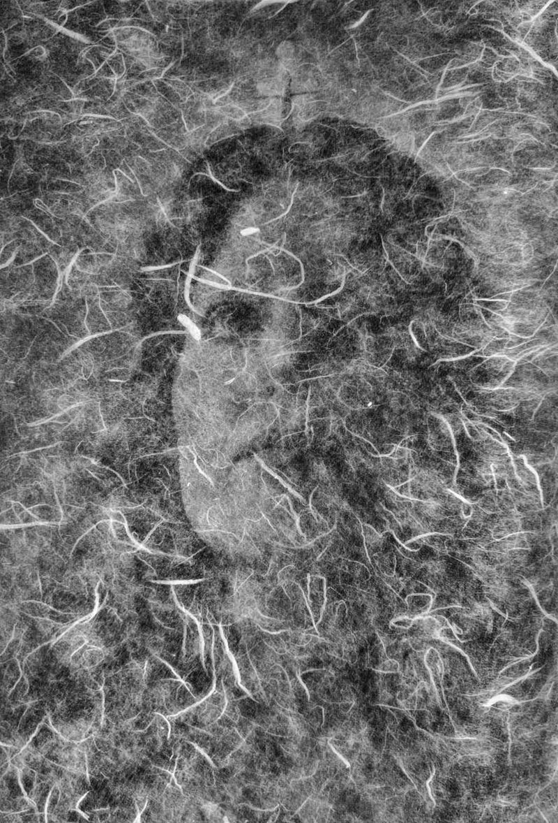 Image from a project on PhMuseum