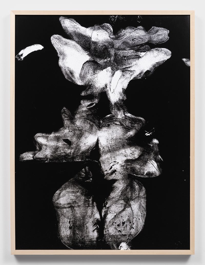 © Katherine Hubbard - body print, rear pressure slip, 2023 Unique silver gelatin photograph, 39h x 29w in, 99.06h x 73.66w cm
