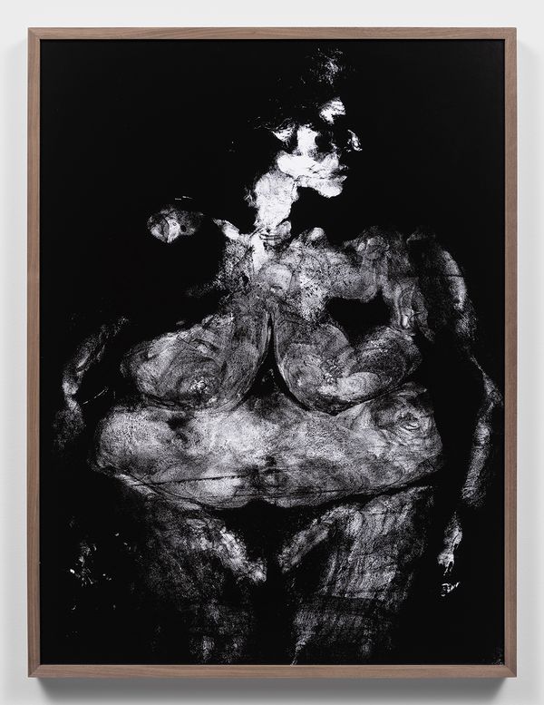 © Katherine Hubbard - body print, hawk, mother, 2023,  Unique silver gelatin photograph, 39h x 29w in, 99.06h x 73.66w cm