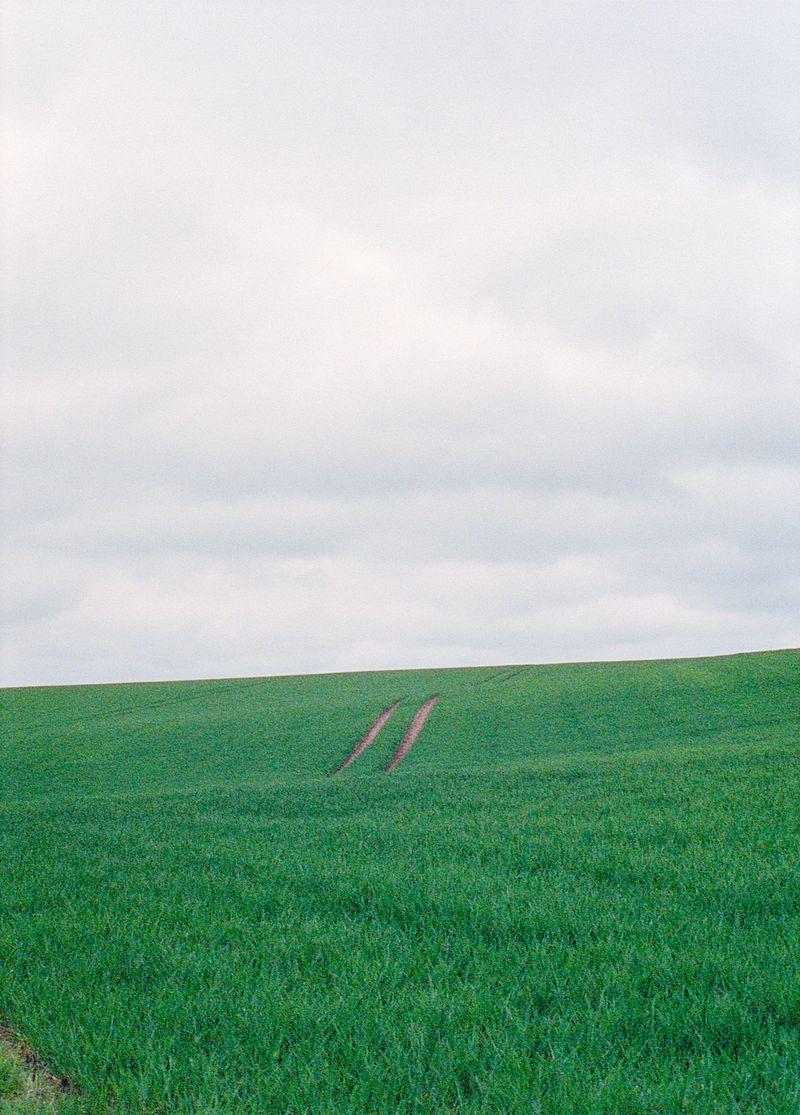 © Chunhan Chen - Image from the After Summer photography project
